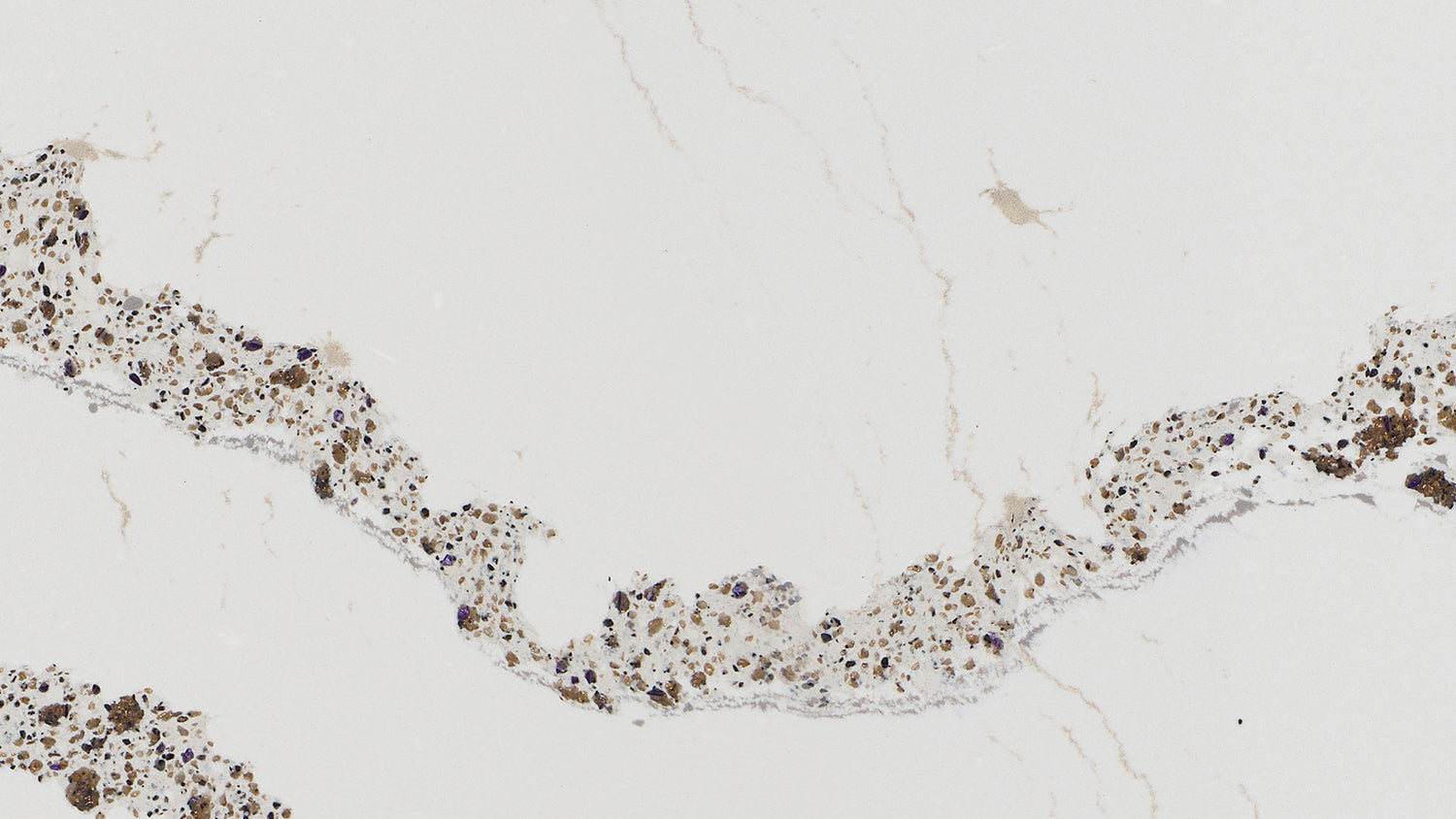 Annicca (Cuarzo | Pulido y Cambria Mate - Por pie cuadrado) | Hecho en EE. UU.