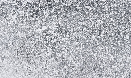 Rose Bay (Cuarzo | Pulido y Cambria Mate - Por pie cuadrado) | Hecho en EE. UU.