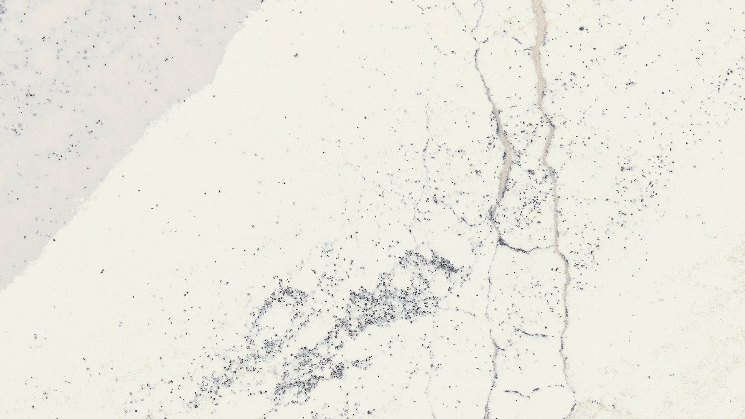 Cumbrera de acero Windsor Satin (cuarzo | Cumbrera Satinada - por pie cuadrado) | Hecho en EE. UU.