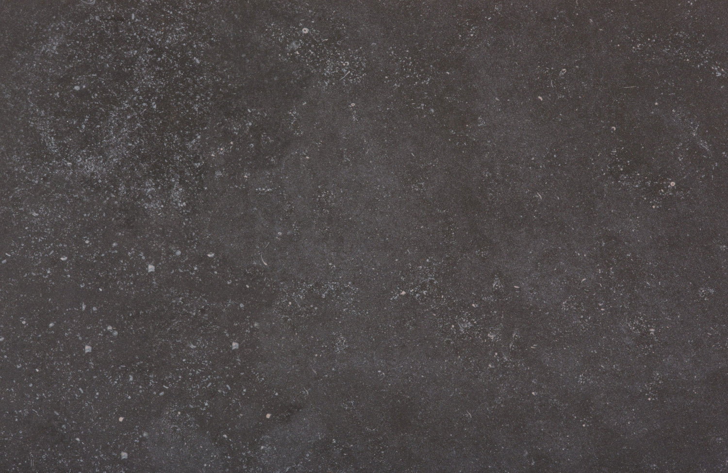 Fósil (Porcelana | Mate - Por m²) | Hecho en España