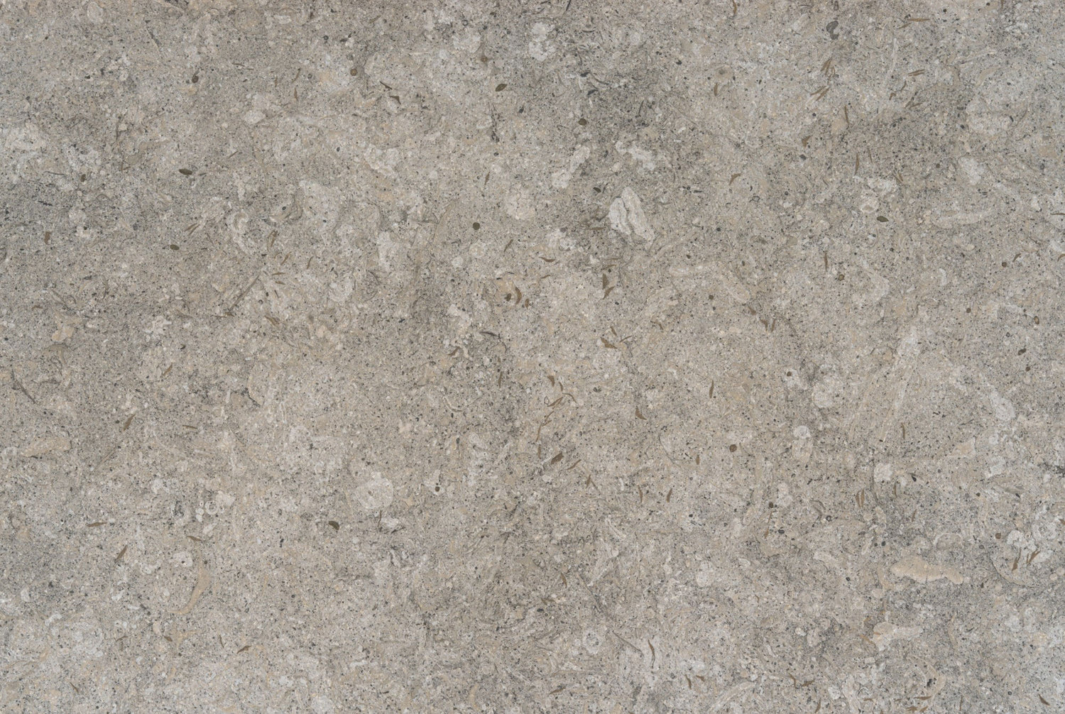 Vk03 Grigio (Porcelana | Mate - Por m²) | Hecho en España