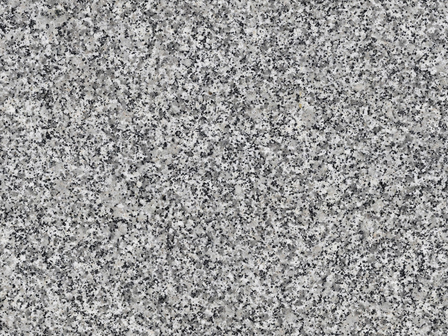 Blanco Perla (Granito | Pulido - Por pie cuadrado) | Procedente de España