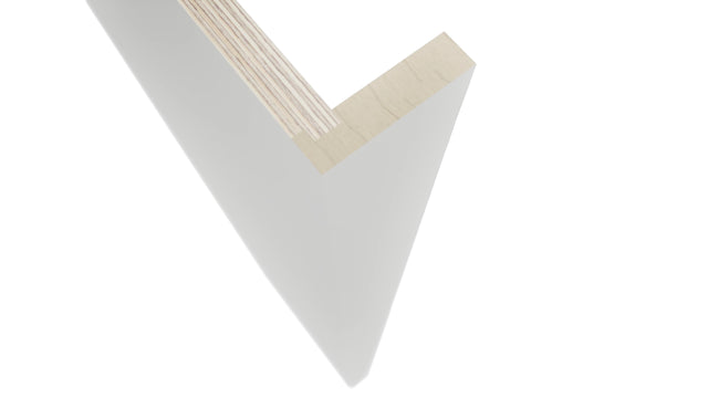 Fabuwood Frost REP3 Panel, Detail View