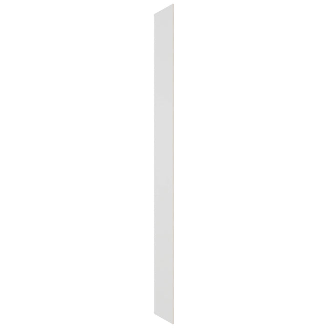 Fabuwood Frost SK T12D Panel, Front View
