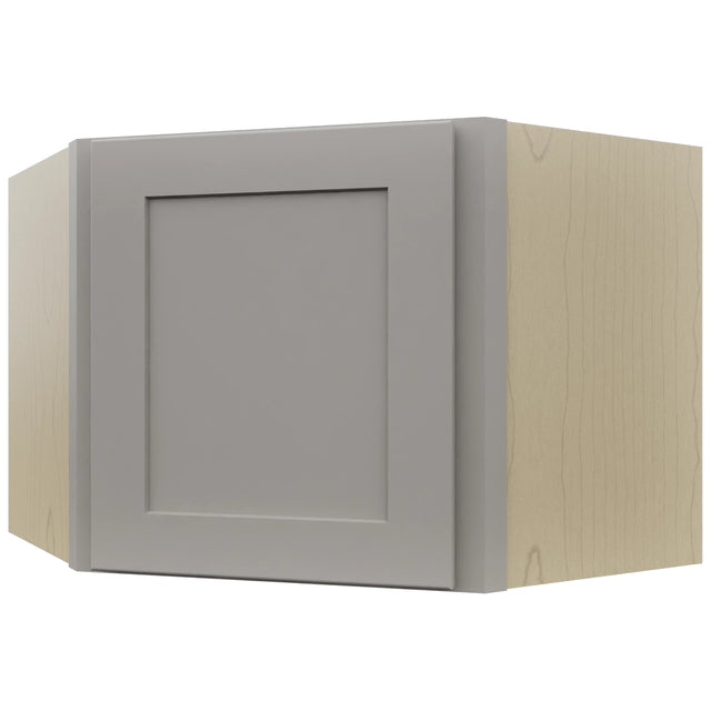 Fabuwood Galaxy Nickel WDC2418 Wall Corner Diagonal Cabinet, Front View