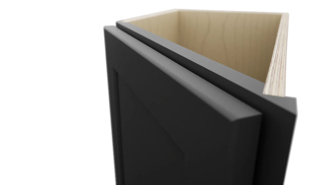 Fabuwood Galaxy Pitch Black BTL12 Base Transitional Cabinet, Detail View