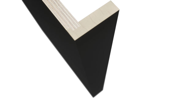 Fabuwood Pitch Black DWR3 Panel, Detail View