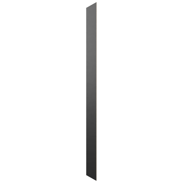 Fabuwood Pitch Black SK T12D Panel, Front View