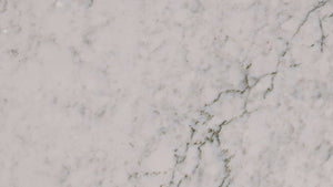 Bridport ( Quartz | Polished & Cambria Matte - Per Sq.Ft ) | Made in USA