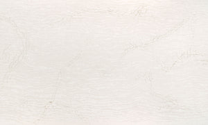 Delgatie ( Quartz | Polished & Cambria Matte - Per Sq.Ft ) | Made in USA