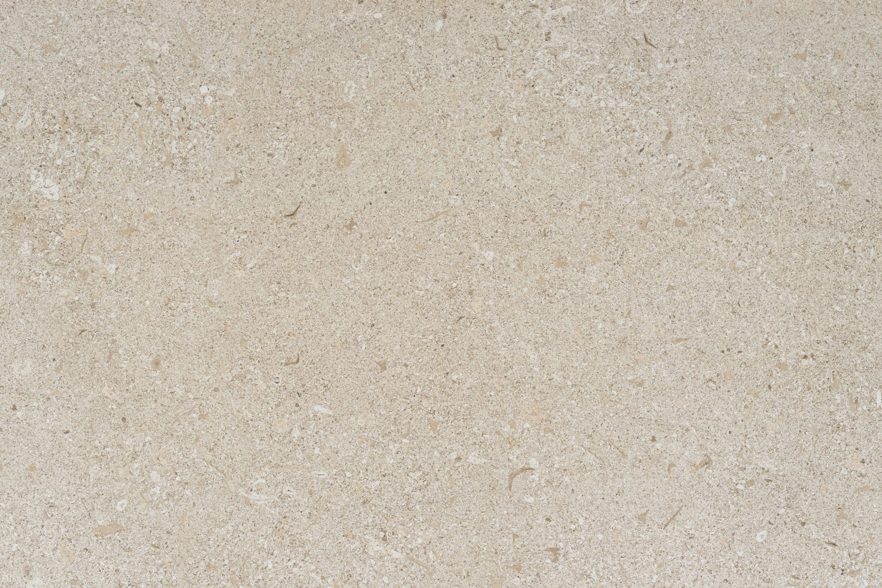 Avorio ( Porcelain | Matte & Grip+ - Per Sq.Ft ) | Made in Spain