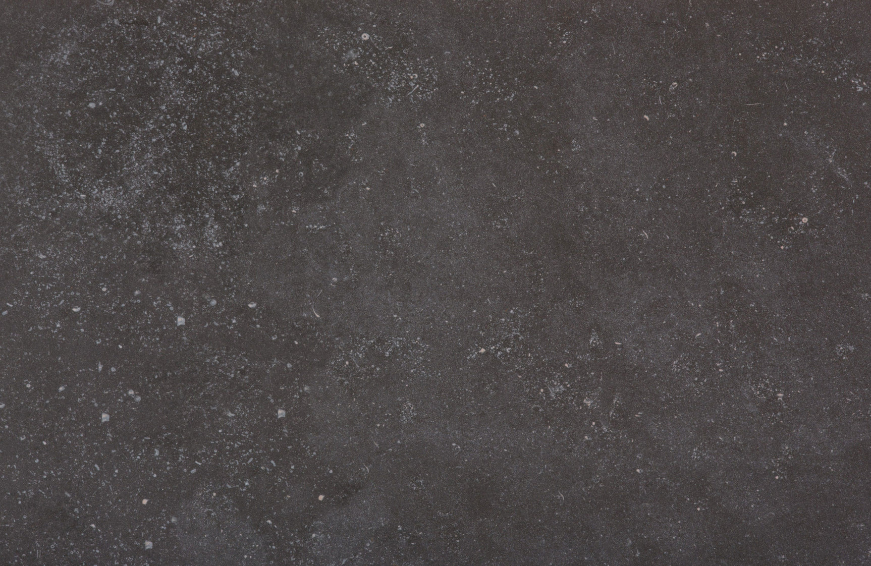 Fossil ( Porcelain | Matte - Per Sq.Ft ) | Made in Spain