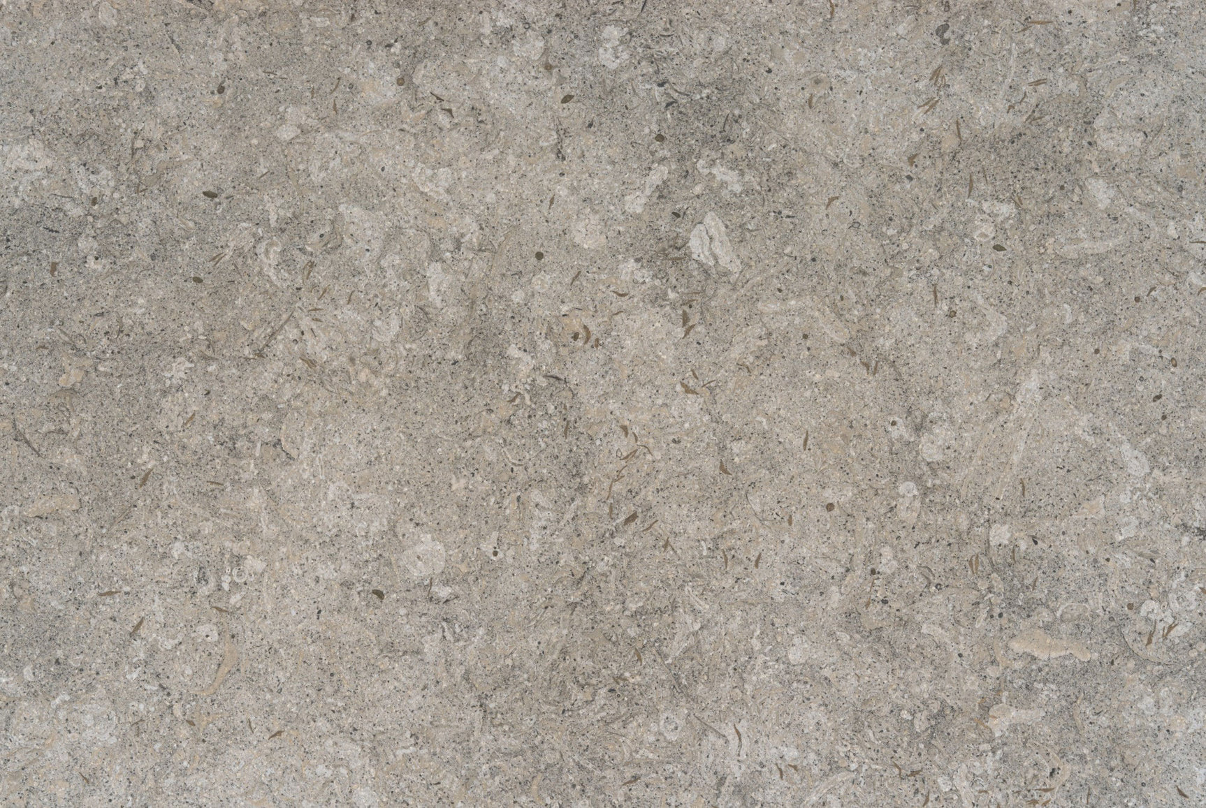 Vk03 Grigio ( Porcelain | Matte - Per Sq.Ft ) | Made in Spain