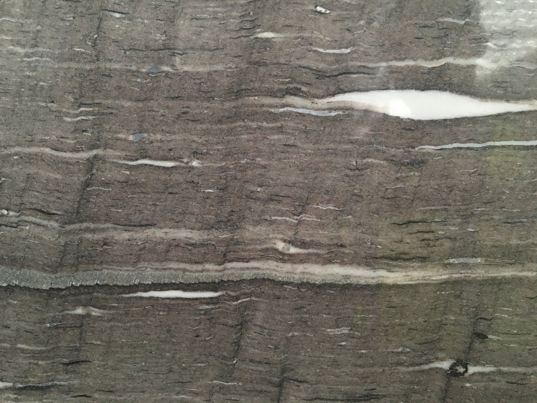 Cygnus Vein Cut ( Quartzite | Pulido - Per Sq.Ft ) | Sourced from Brazil