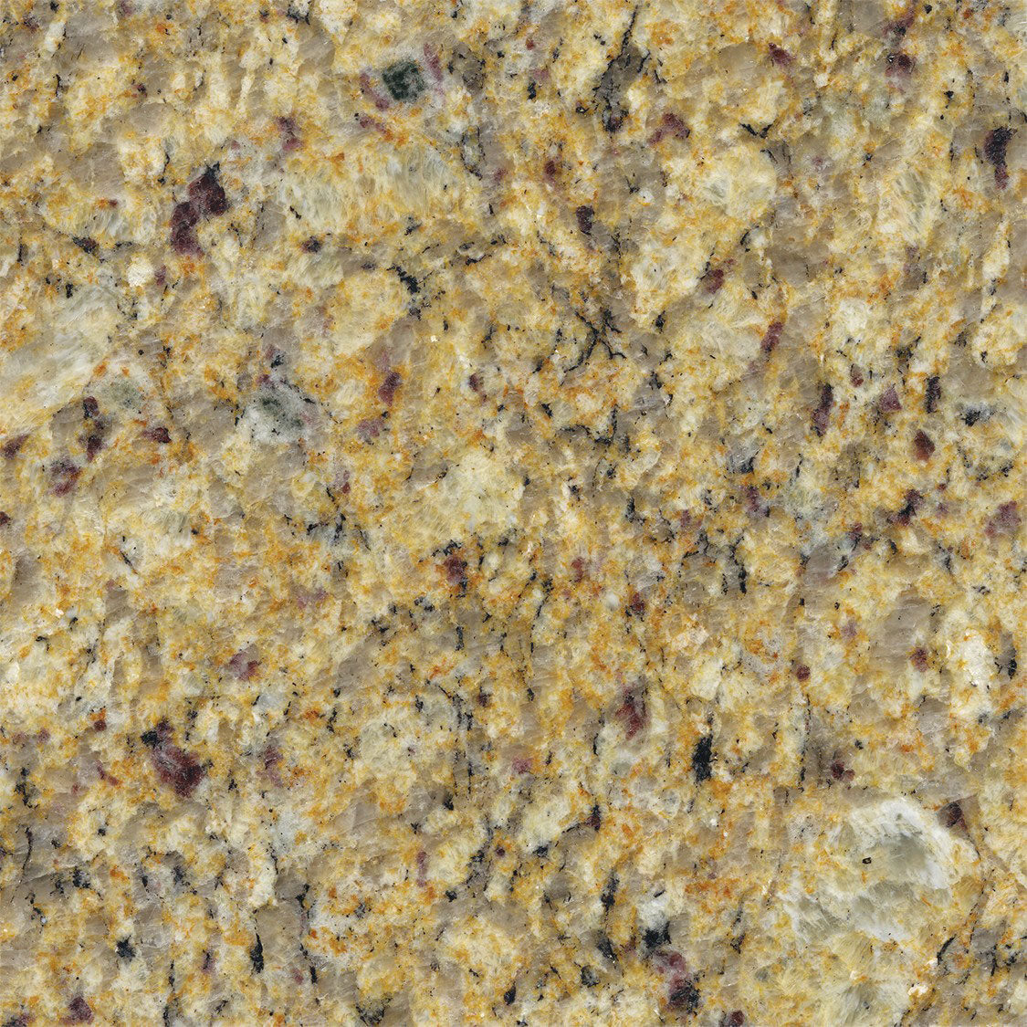 New Venecian Gold ( Granite | Pulido - Per Sq.Ft ) | Sourced from Brazil