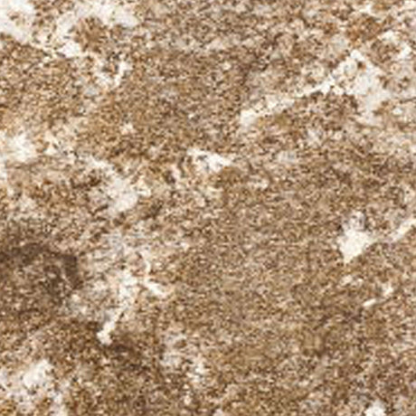 Brown Persa ( Granite | Pulido - Per Sq.Ft ) | Sourced from Brazil