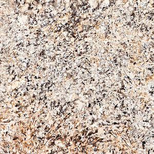 Caroline Summer ( Granite | Pulido - Per Sq.Ft ) | Sourced from India