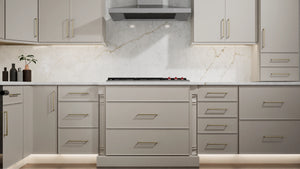Echo Dove ( Birch | Plain Cut [ Full Overlay • Satin • Painted ] - 10' X 10' Kitchen Cabinet ) | Assembled In USA