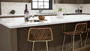 Echo Mocha ( Birch | Plain Cut [ Full Overlay • Satin • Stained ] - 10' X 10' Kitchen Cabinet ) | Assembled In USA