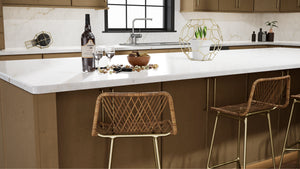 Echo Timber ( Birch | Plain Cut [ Full Overlay • Satin • Stained ] - 10' X 10' Kitchen Cabinet ) | Assembled In USA