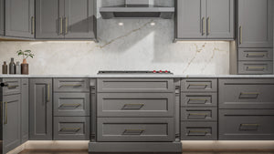 Fusion Nickel ( Birch | Plain Cut [ Full Overlay • Satin • Painted ] - 10' X 10' Kitchen Cabinet ) | Assembled In USA