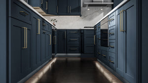 Galaxy Indigo ( Birch | Plain Cut [ Full Overlay • Satin • Painted ] - 10' X 10' Kitchen Cabinet ) | Assembled In USA