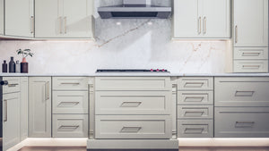 Galaxy Linen ( Birch | Plain Cut [ Full Overlay • Satin • Painted ] - 10' X 10' Kitchen Cabinet ) | Assembled In USA