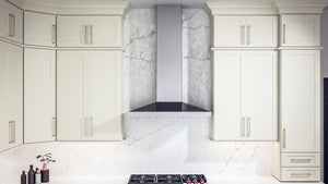 Galaxy Linen ( Birch | Plain Cut [ Full Overlay • Satin • Painted ] - 10' X 10' Kitchen Cabinet ) | Assembled In USA