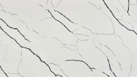 Calacatta Laza Night ( Quartz | Polished - Per Sq.Ft ) | Made in India