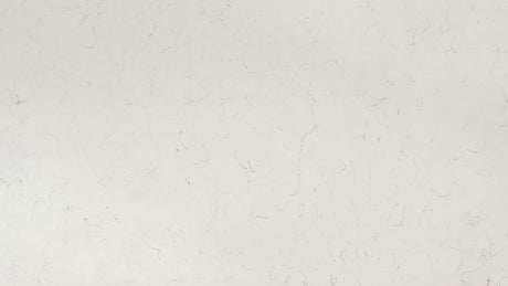 Carrara Delphi ( Quartz | Polished - Per Sq.Ft ) | Made in India