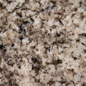 Arctic Sand ( Granite | Polished - Per Sq.Ft ) | Sourced from India