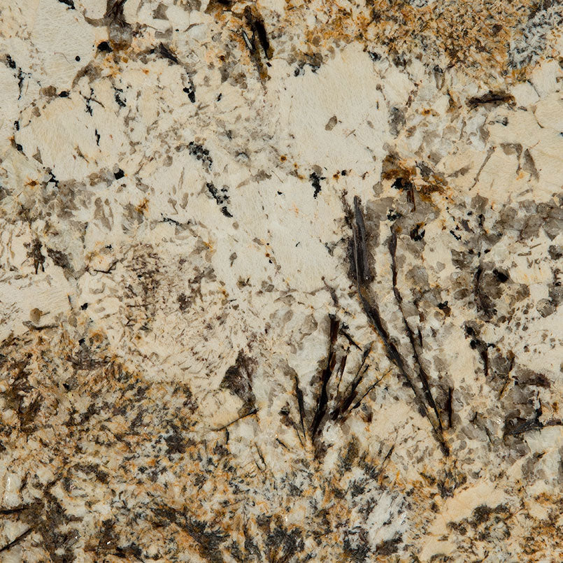 Caravelas Gold ( Granite | Polished - Per Sq.Ft ) | Sourced from Brazil