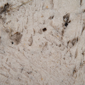 Gray Nuevo ( Granite | Brushed & Polished - Per Sq.Ft ) | Sourced from India