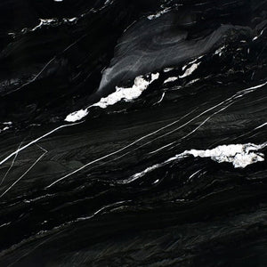 Andes Black ( Quartzite | Polished - Per Sq.Ft ) | Sourced from Brazil