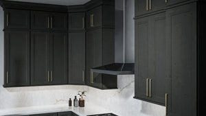 Onyx Cobblestone ( Birch | Plain Cut [ Full Overlay • Satin • Stained ] - 10' X 10' Kitchen Cabinet ) | Assembled In USA