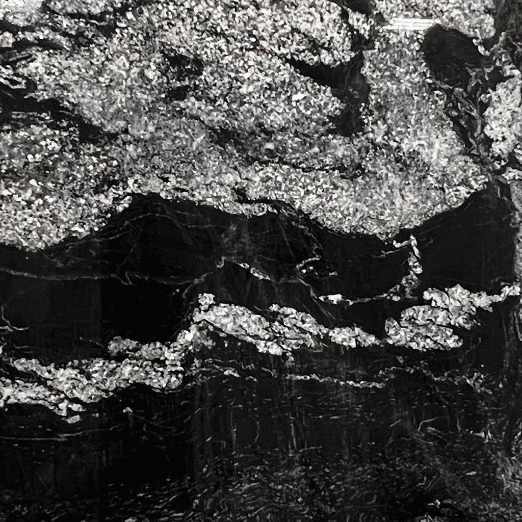 Black Forest ( Granite | Polished - Per Sq.Ft ) | Sourced from Brazil