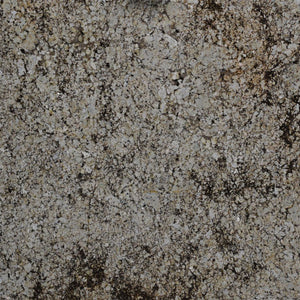 Delicatus Cream ( Granite | Polished - Per Sq.Ft ) | Sourced from Brazil