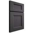 Shiloh Cabinetry Full Overlay Aspen Poplar Plain Cut Cadet Door