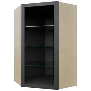 Fabuwood Cobblestone NDWDC2439 Wall Corner Diagonal No Door Cabinet, Front View