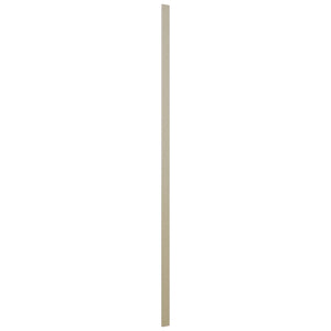 Fabuwood Desert Oak TF3120 Tall Filler, Front View