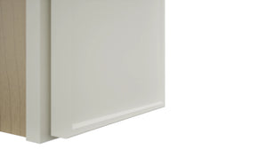 Fabuwood Echo Dove W0930 Wall Standard Cabinet, Detail View