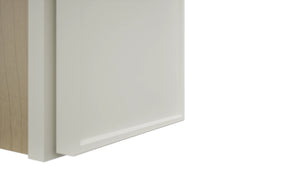 Fabuwood Echo Dove W0942 Wall Standard Cabinet, Detail View