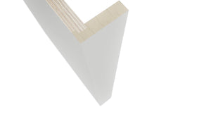 Fabuwood Frost DWR3 Panel, Detail View