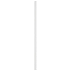 Fabuwood Frost OLF393 Tall Filler Overlay, Front View