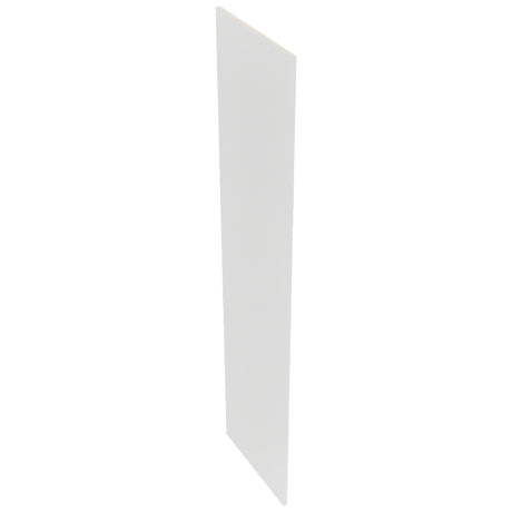 Fabuwood Frost REP2496 Panel, Top View