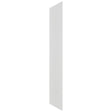 Fabuwood Frost REP30120 Panel, Front View