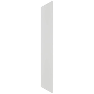 Fabuwood Frost REP30120 x 1-1/2 Panel, Front View