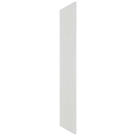 Fabuwood Frost REP30120 x 1-1/2 Panel, Front View