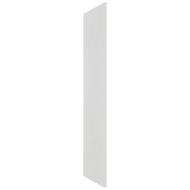 Fabuwood Frost REP30120 x 1-1/2 Panel, Front View