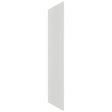 Fabuwood Frost REP3096 Panel, Front View